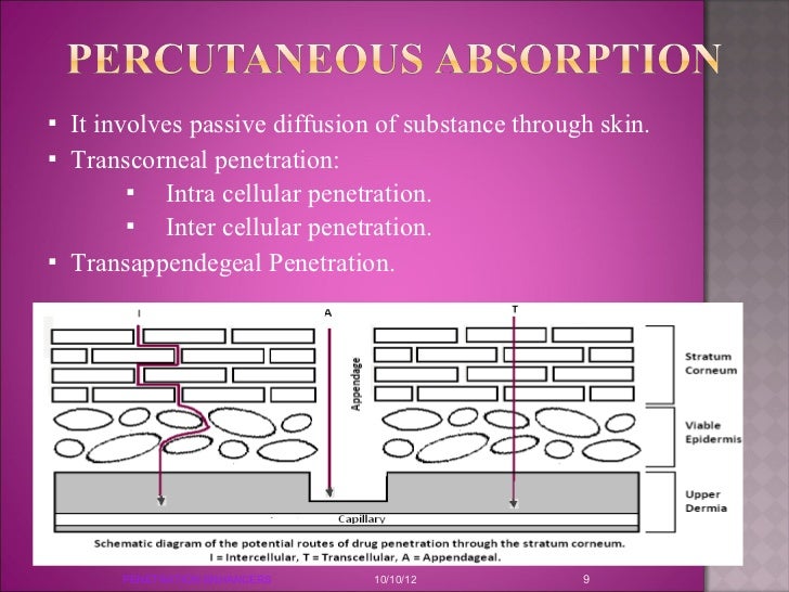 Angelina busty goddess jolie Definition of chemica penetration